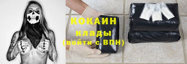 кокс Белокуриха