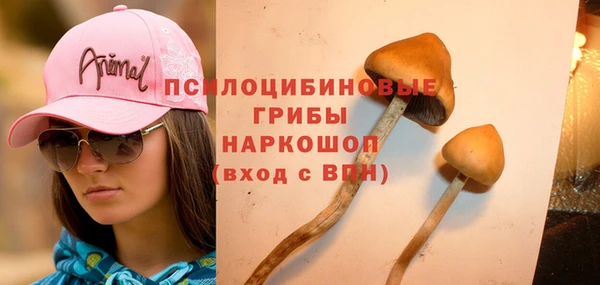 молекула духа Беломорск