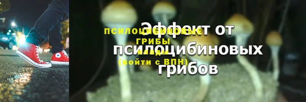 кокс Белокуриха
