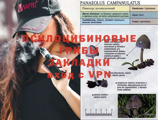 молекула духа Беломорск