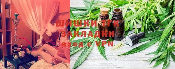 индика Балабаново