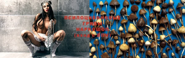 молекула духа Беломорск