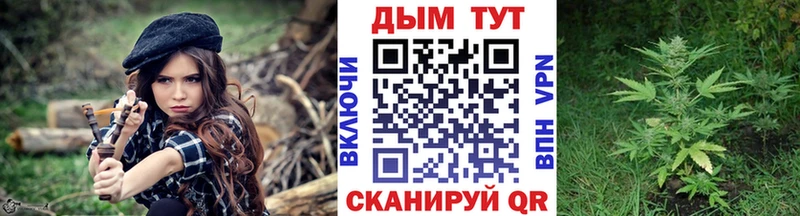 Конопля гибрид  Вуктыл 
